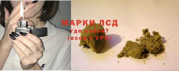 эйфоретик Беломорск